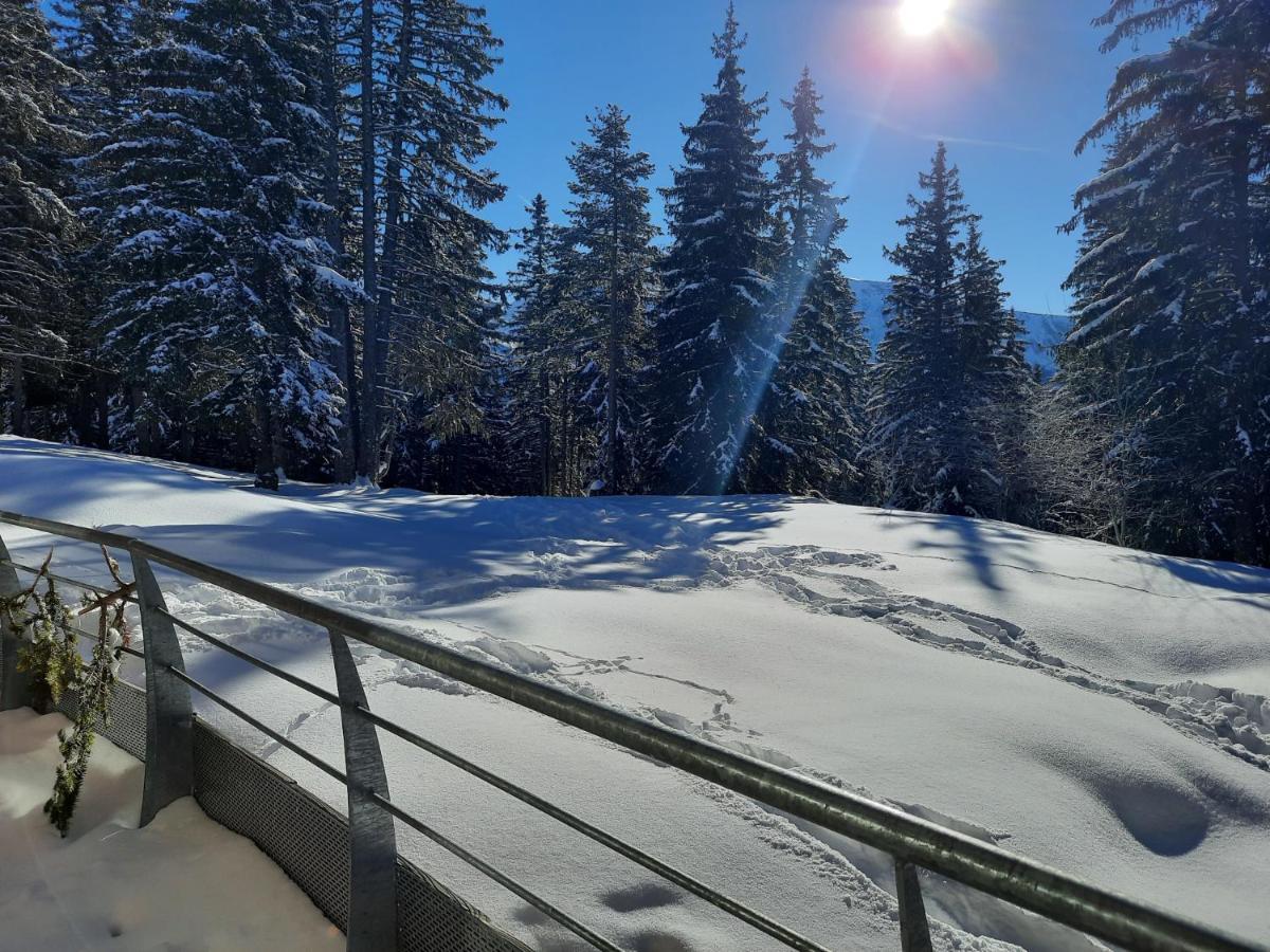 La Petite Foret Chamrousse 1700 Luaran gambar