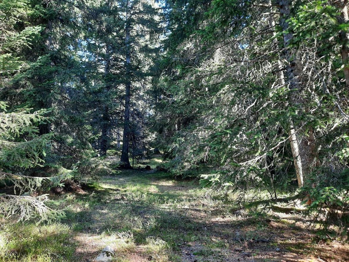 La Petite Foret Chamrousse 1700 Luaran gambar