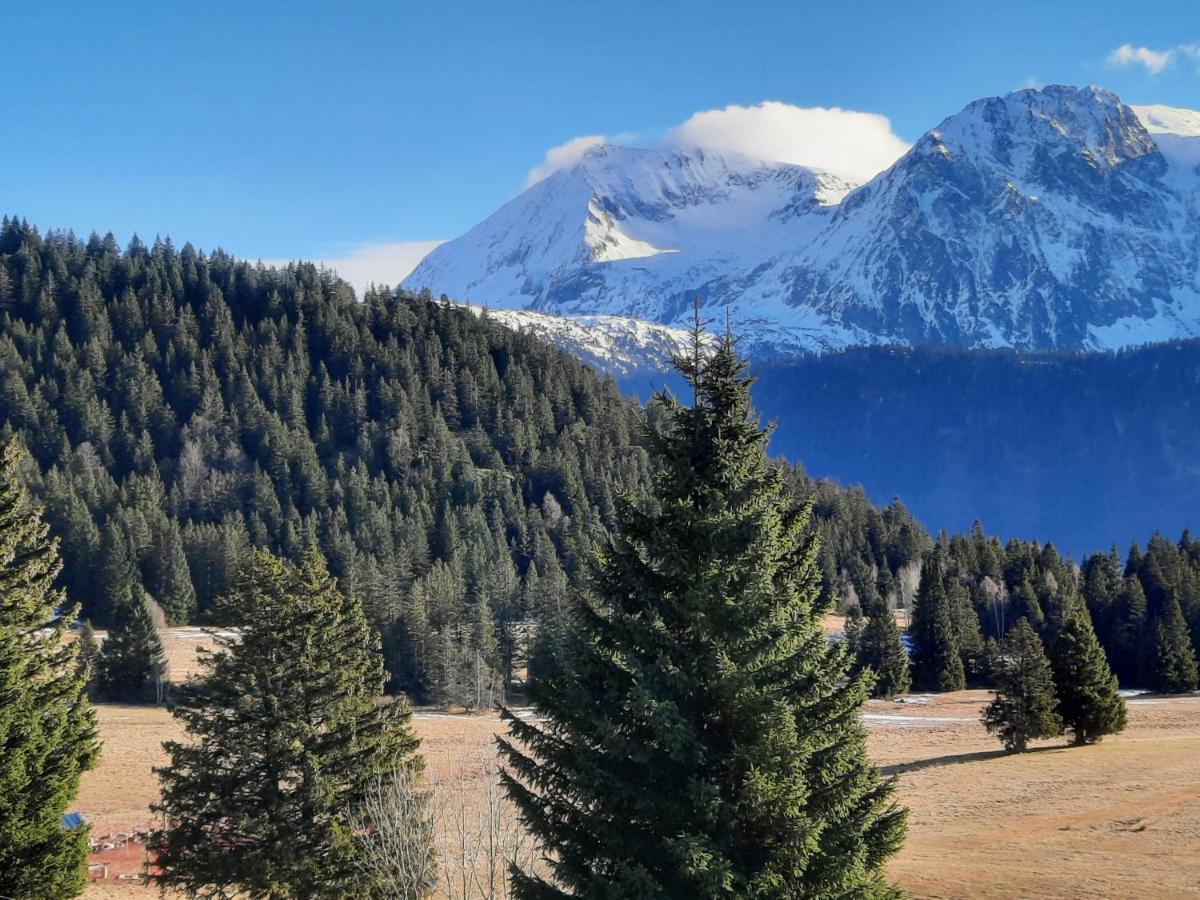 La Petite Foret Chamrousse 1700 Luaran gambar