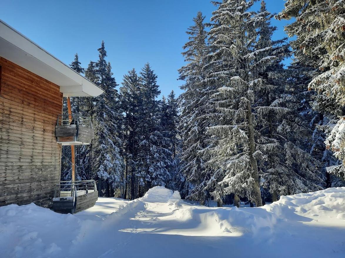 La Petite Foret Chamrousse 1700 Luaran gambar
